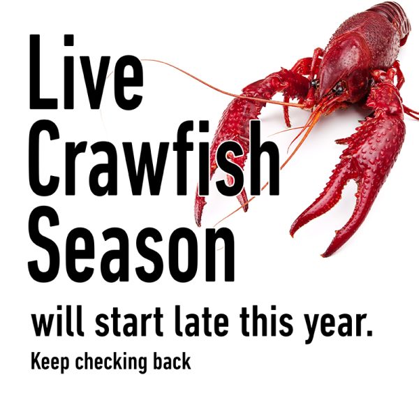cajuncrawfish-store-live-crawfish-to-your-door