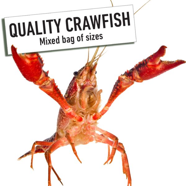 Quality Grade Live Crawfish (Mixed Bag)