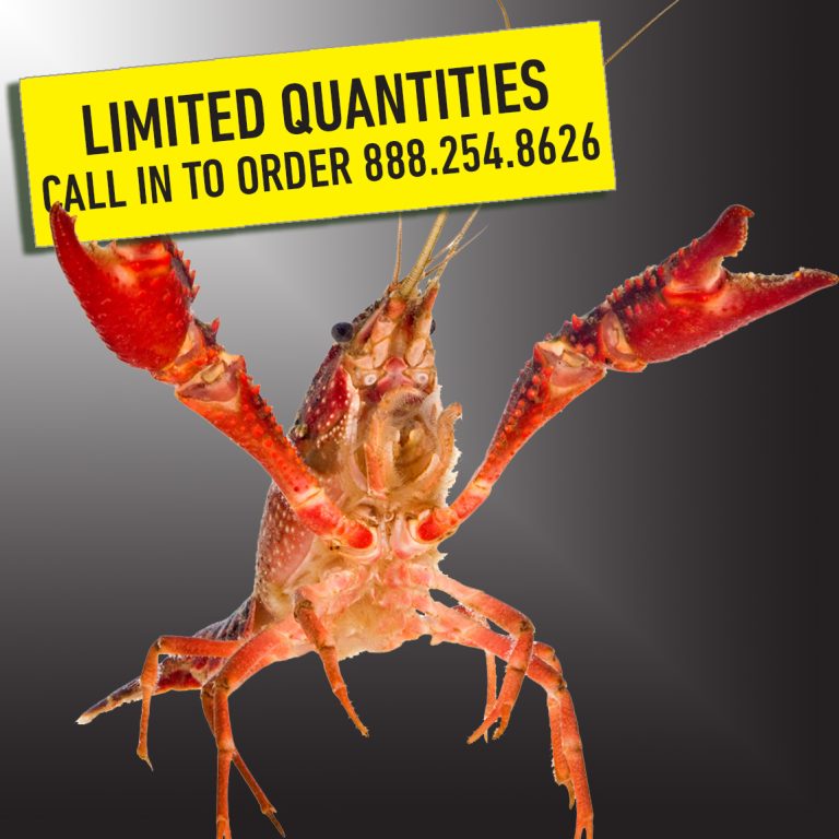 CajunCrawfish Store – Get Live Crawfish to you